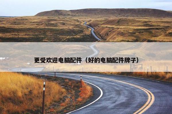 更受欢迎电脑配件（好的电脑配件牌子）