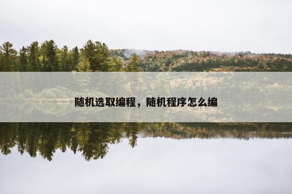随机选取编程，随机程序怎么编