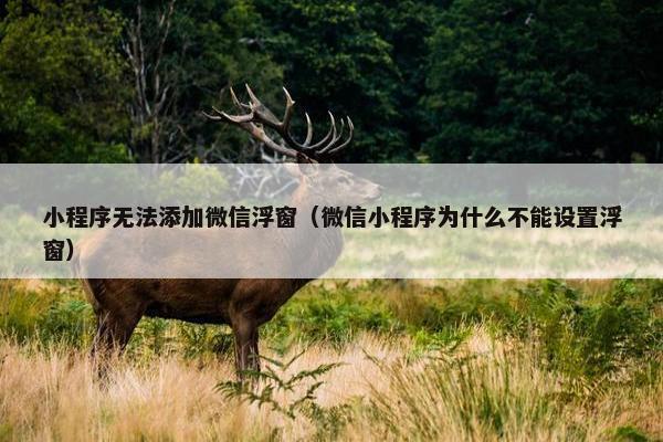 小程序无法添加微信浮窗（微信小程序为什么不能设置浮窗）