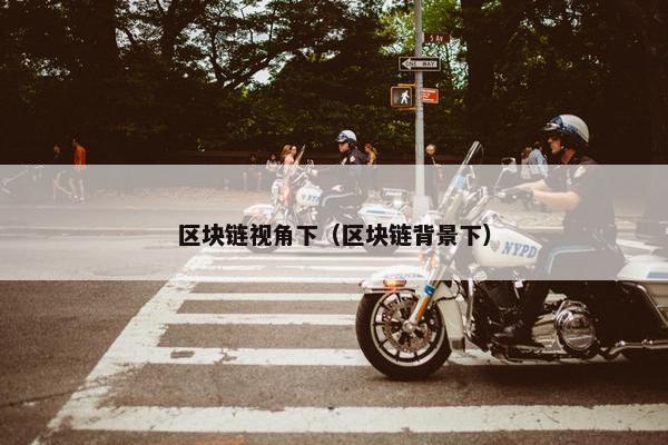 区块链视角下（区块链背景下）