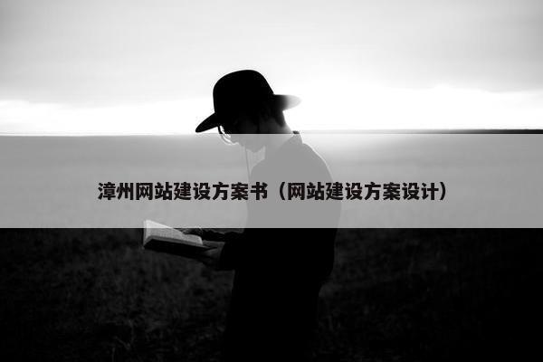 漳州网站建设方案书（网站建设方案设计）