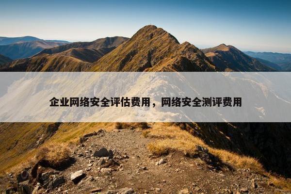 企业网络安全评估费用，网络安全测评费用