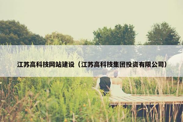 江苏高科技网站建设（江苏高科技集团投资有限公司）