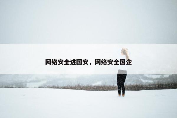 网络安全进国安，网络安全国企