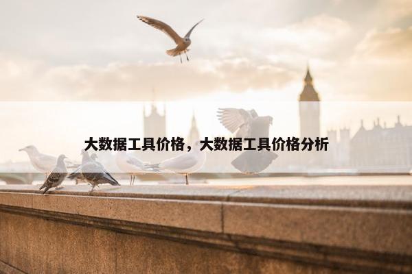 大数据工具价格，大数据工具价格分析