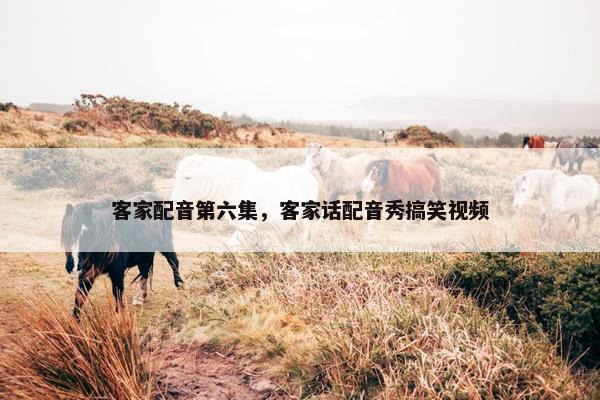 客家配音第六集，客家话配音秀搞笑视频