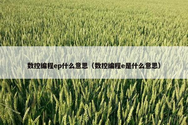 数控编程ep什么意思（数控编程e是什么意思）
