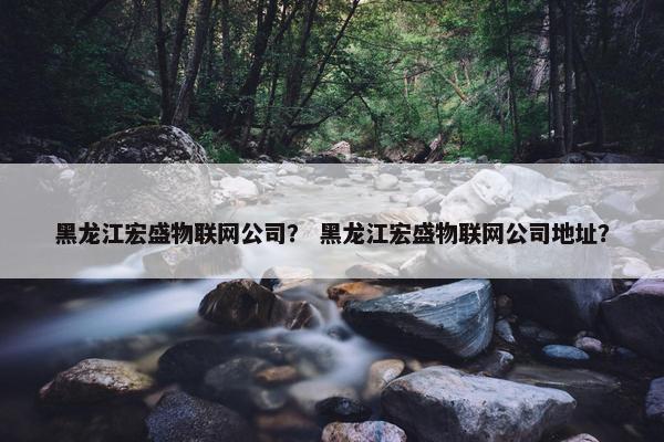 黑龙江宏盛物联网公司？ 黑龙江宏盛物联网公司地址？