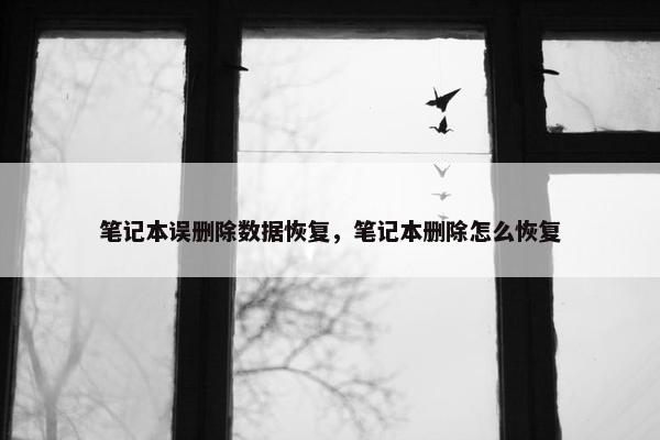 笔记本误删除数据恢复，笔记本删除怎么恢复