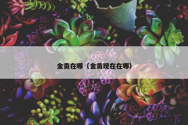金贡在哪（金贡现在在哪）