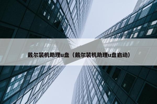戴尔装机助理u盘（戴尔装机助理u盘启动）