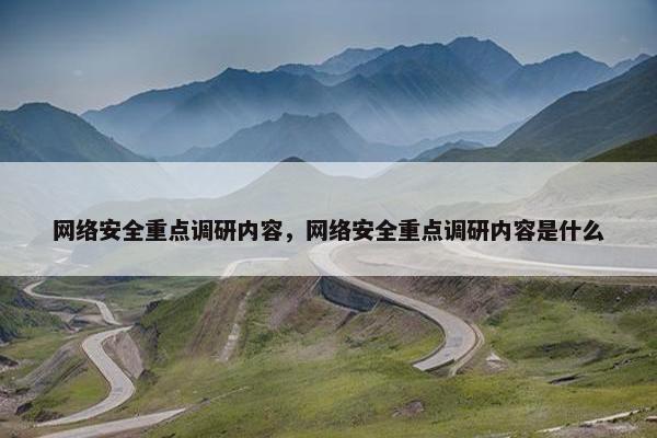 网络安全重点调研内容，网络安全重点调研内容是什么