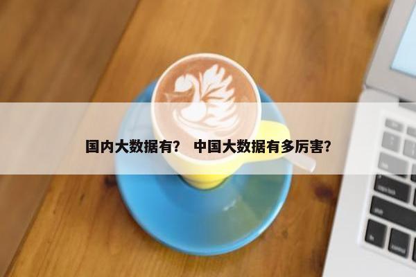 国内大数据有？ 中国大数据有多厉害？