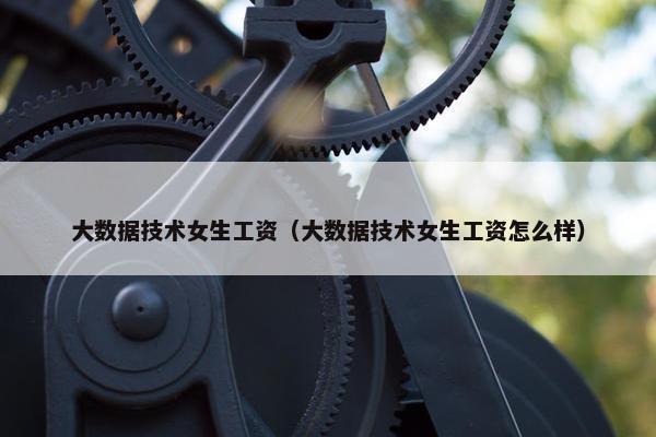 大数据技术女生工资（大数据技术女生工资怎么样）