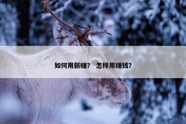 如何用新赚？ 怎样用赚钱？