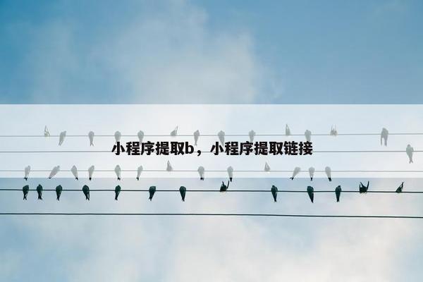 小程序提取b，小程序提取链接