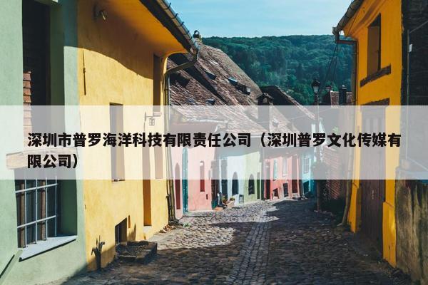 深圳市普罗海洋科技有限责任公司（深圳普罗文化传媒有限公司）