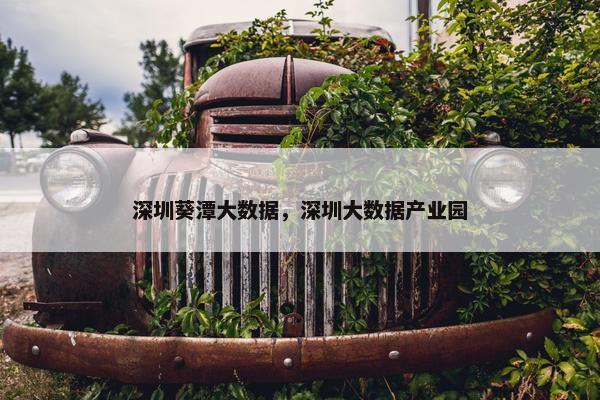 深圳葵潭大数据，深圳大数据产业园