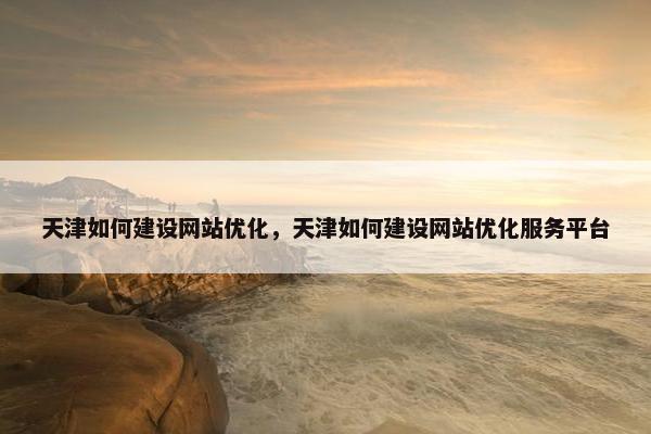 天津如何建设网站优化，天津如何建设网站优化服务平台