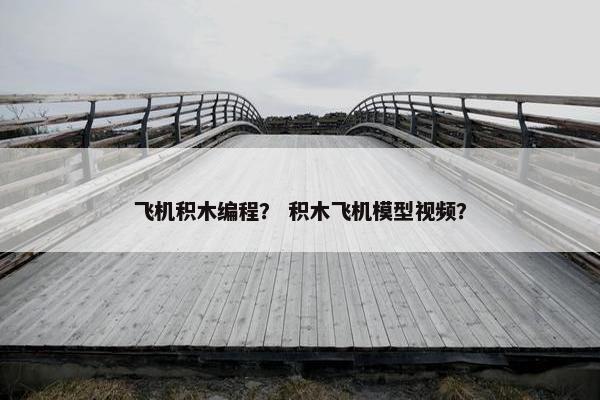 飞机积木编程？ 积木飞机模型视频？