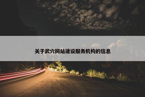 关于武穴网站建设服务机构的信息