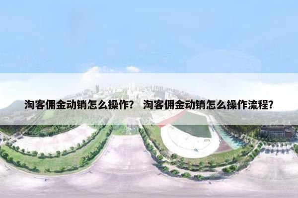 淘客佣金动销怎么操作？ 淘客佣金动销怎么操作流程？