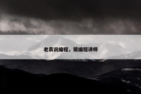 老袁说编程，猿编程讲师