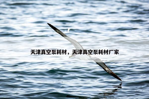 天津真空泵耗材，天津真空泵耗材厂家