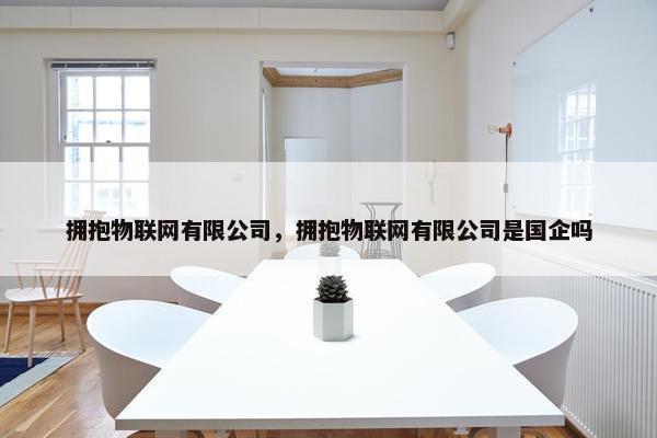 拥抱物联网有限公司，拥抱物联网有限公司是国企吗