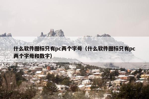 什么软件图标只有pc两个字母（什么软件图标只有pc两个字母和数字）