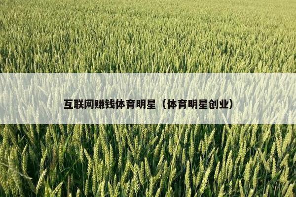 互联网赚钱体育明星（体育明星创业）