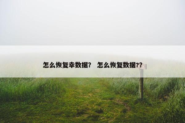 怎么恢复幸数据？ 怎么恢复数据?？