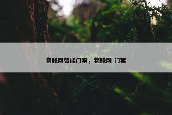 物联网智能门禁，物联网 门禁