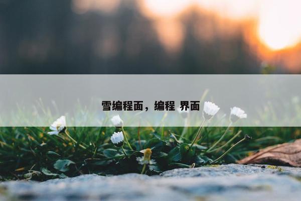 雪编程面，编程 界面