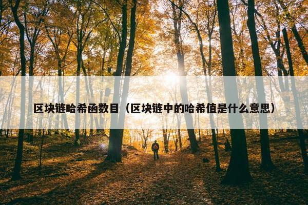 区块链哈希函数目（区块链中的哈希值是什么意思）