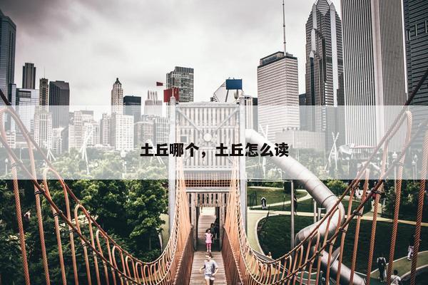 土丘哪个，土丘怎么读