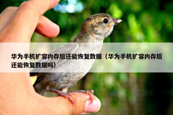 华为手机扩容内存后还能恢复数据（华为手机扩容内存后还能恢复数据吗）