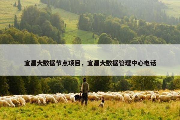 宜昌大数据节点项目，宜昌大数据管理中心电话