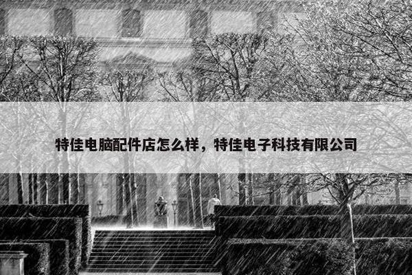 特佳电脑配件店怎么样，特佳电子科技有限公司