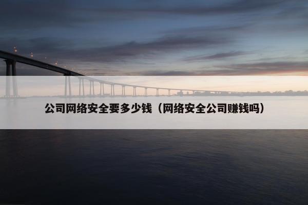 公司网络安全要多少钱（网络安全公司赚钱吗）