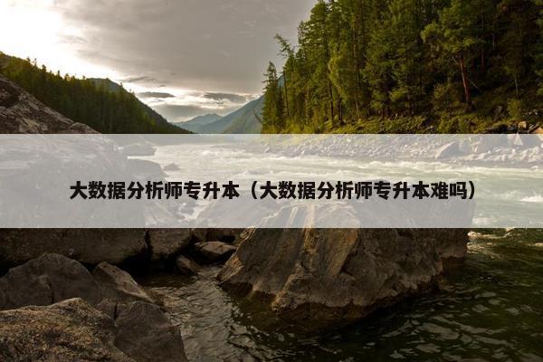 大数据分析师专升本（大数据分析师专升本难吗）