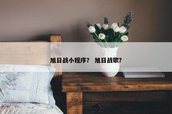 旭日战小程序？ 旭日战歌？
