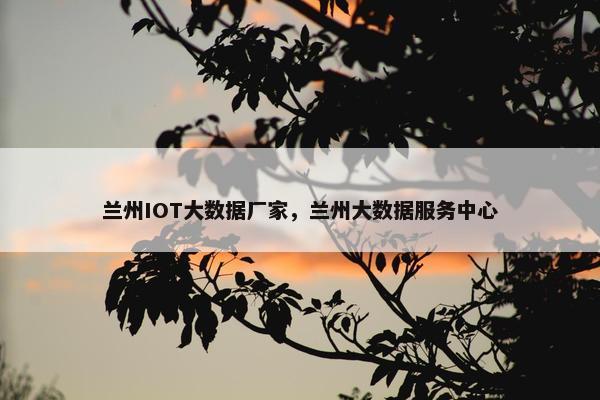 兰州IOT大数据厂家，兰州大数据服务中心