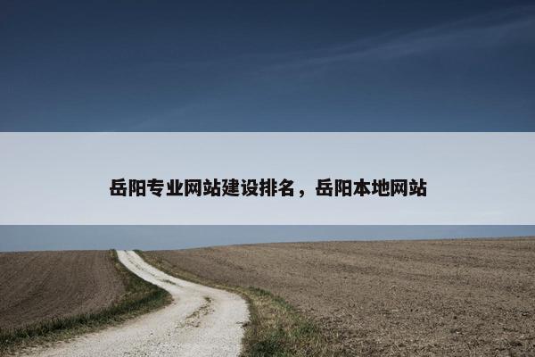 岳阳专业网站建设排名，岳阳本地网站
