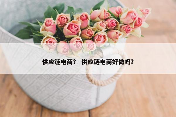 供应链电商？ 供应链电商好做吗？