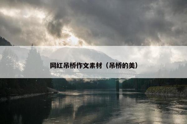 网红吊桥作文素材（吊桥的美）