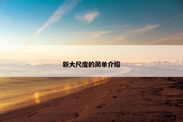 新大尺度的简单介绍