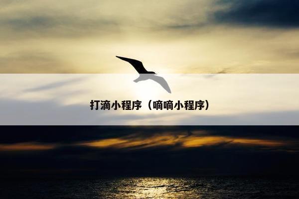打滴小程序（嘀嘀小程序）