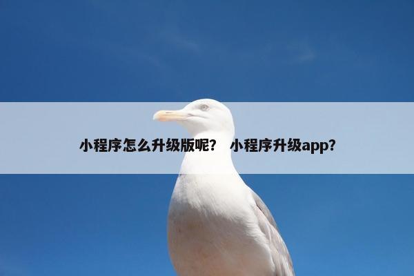 小程序怎么升级版呢？ 小程序升级app？