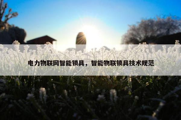 电力物联网智能锁具，智能物联锁具技术规范